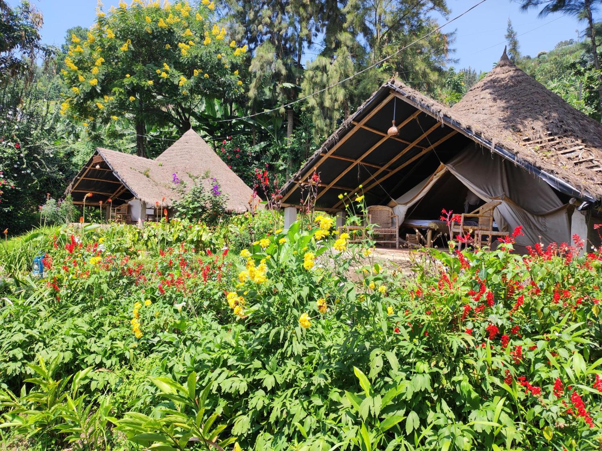 Inzu Lodge Gisenyi Eksteriør billede